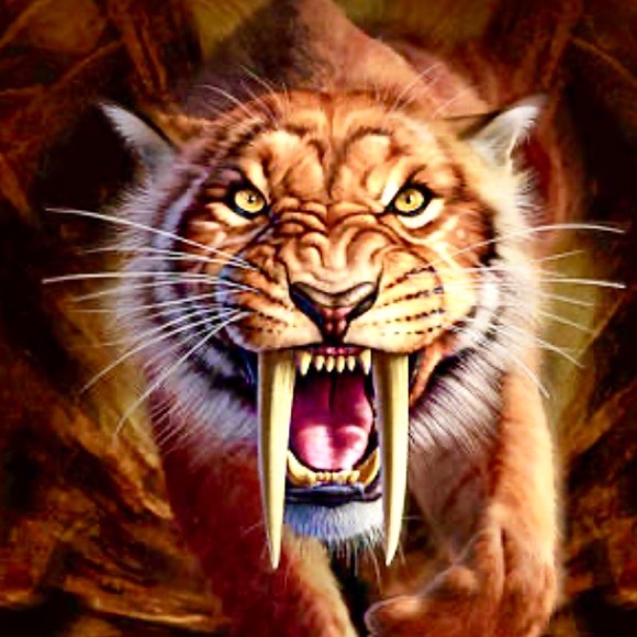 Saber Tooth Crystal Earrings - Fashion Show Find Beautiful Woman Collection - Picture 6 of 16